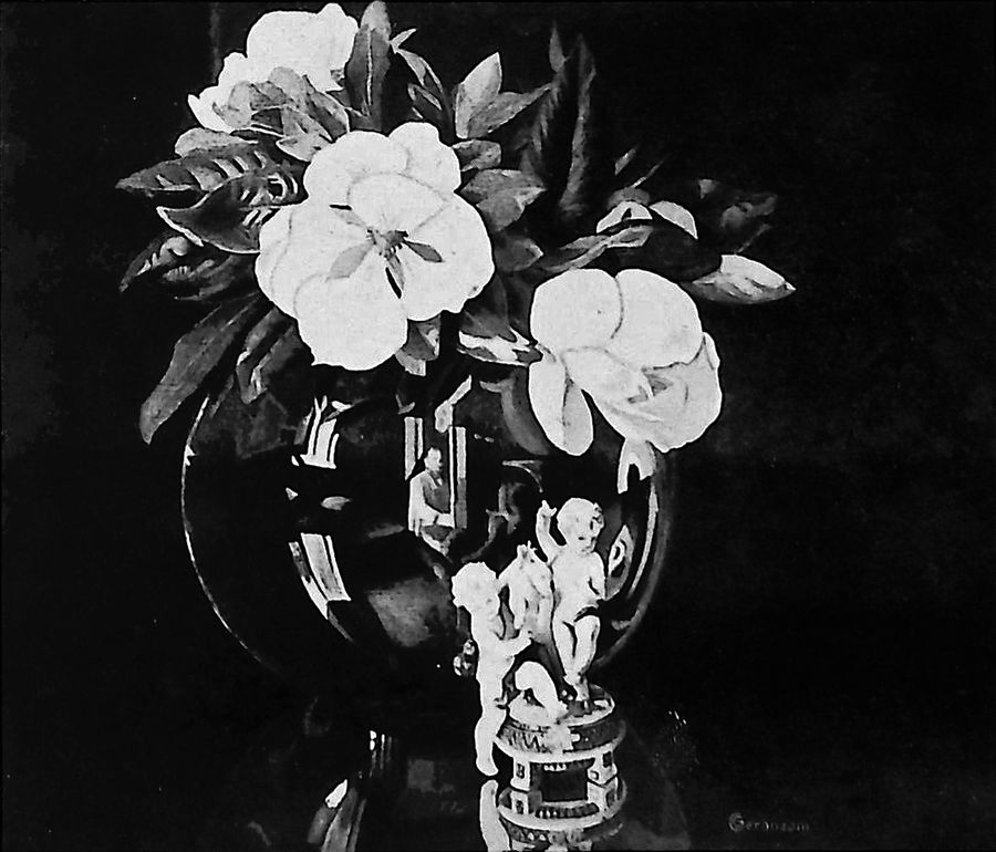 magnolie