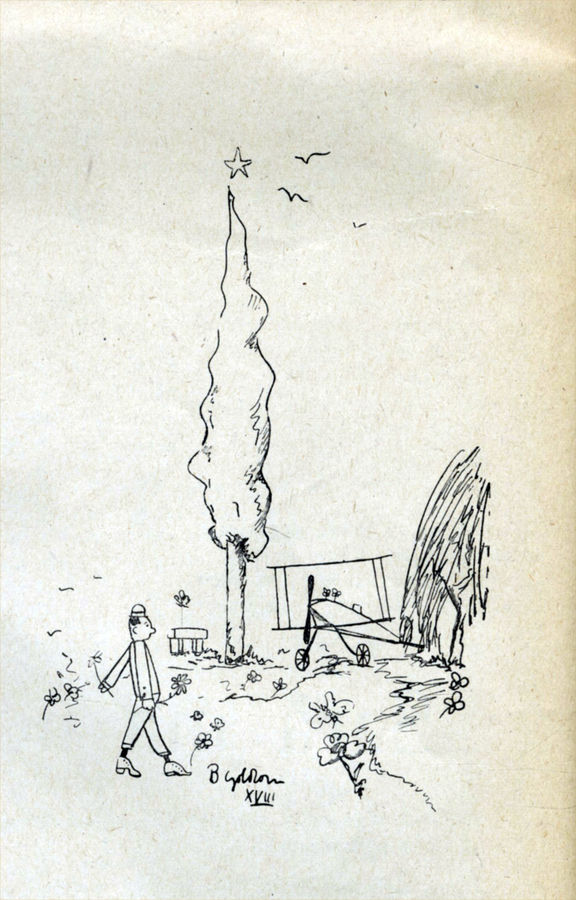 evaristo-non-e-felice