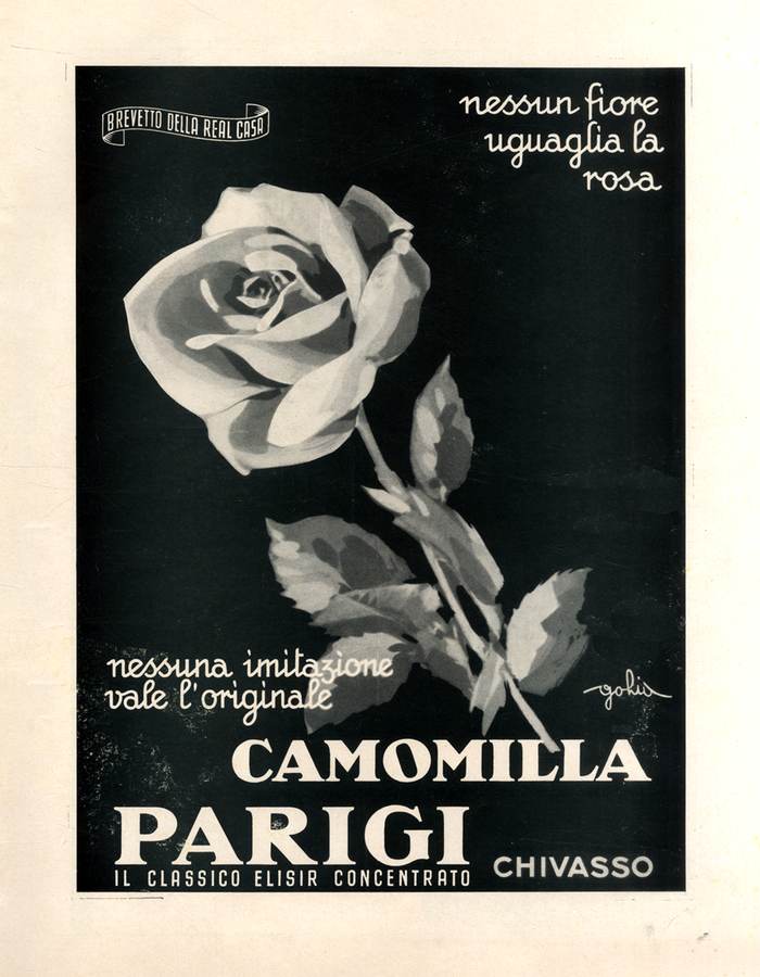 camomilla-parigi
