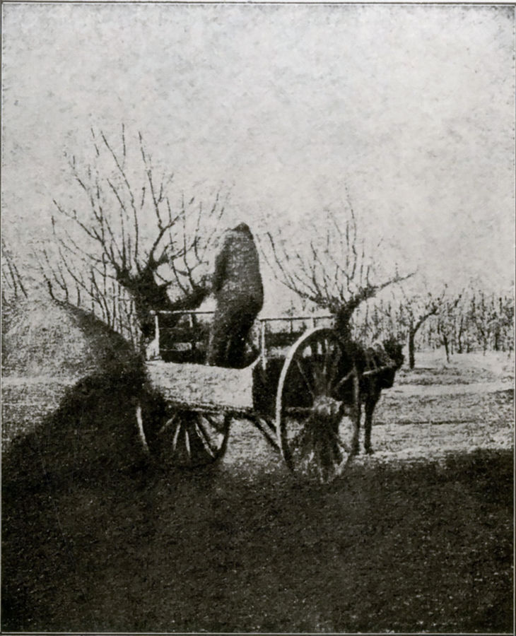 il-carretto-di-concime