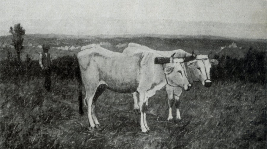 breve-sosta-esposizione-di-brera-1927