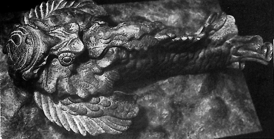 pesce-abissale-genova-v-mostra-del-mare