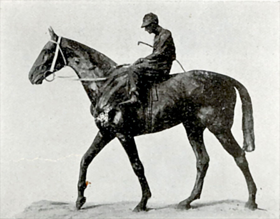 senza-titolo-fantino-a-cavallo