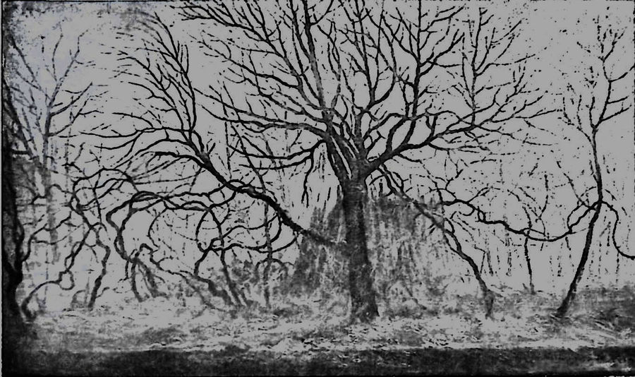 inverno-mostra-personale-di-forli