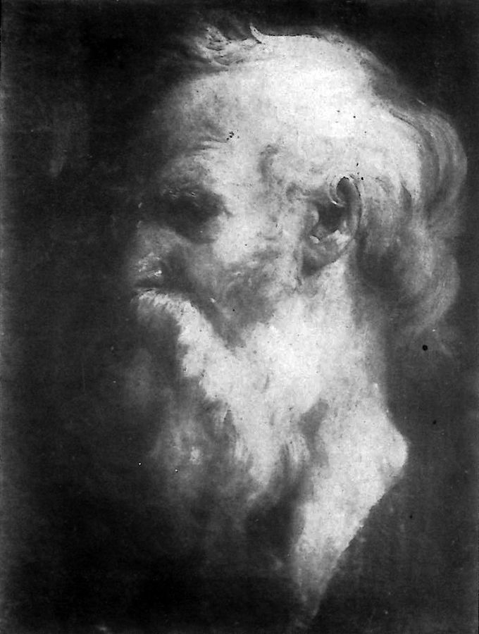 testa-duomo-barbuto-genova-accademia-ligustica-di-belle-arti
