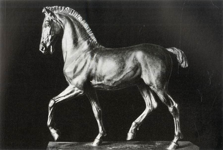 cavallo-arabo