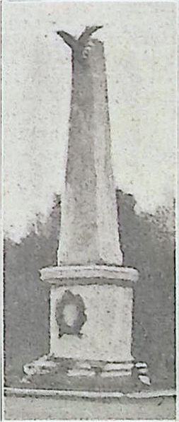 zanengo-cremona