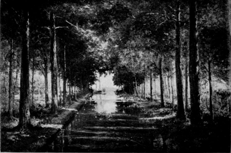 braccio-di-canale-nel-bosco