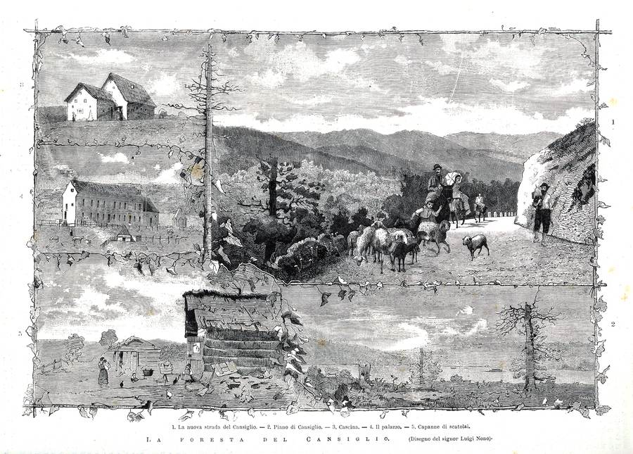 la-foresta-del-cansiglio