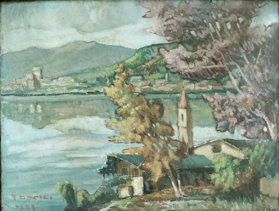 oppici-veduta-di-torri-del-benaco