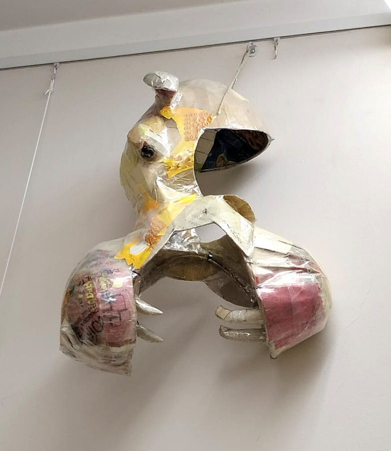 ippopotamo