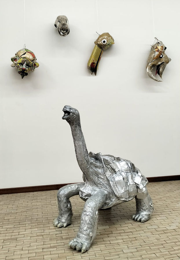 testuggineelephantopus-galapagos