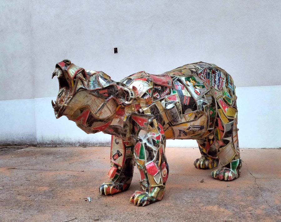 orso-su-quattro-zampe