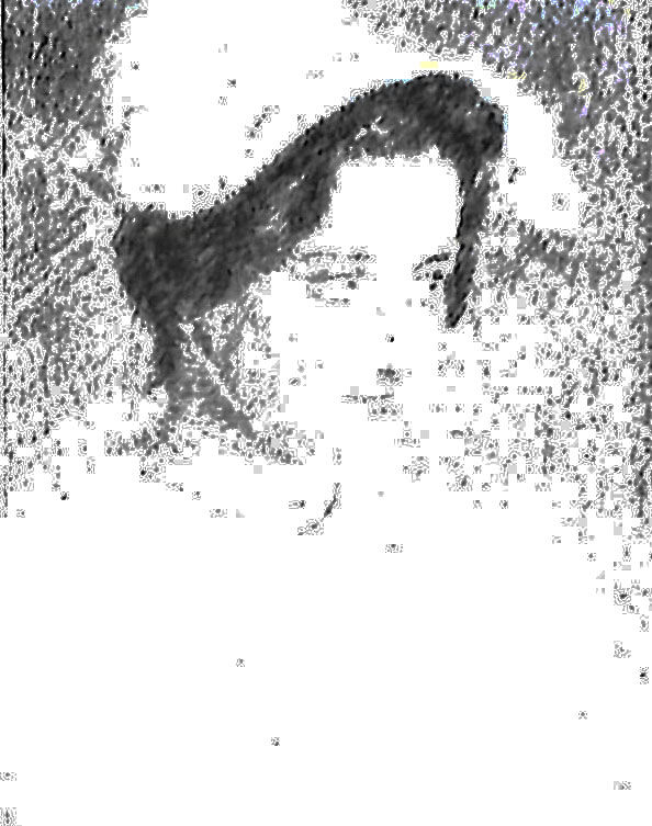 ritratto-di-fanciulla