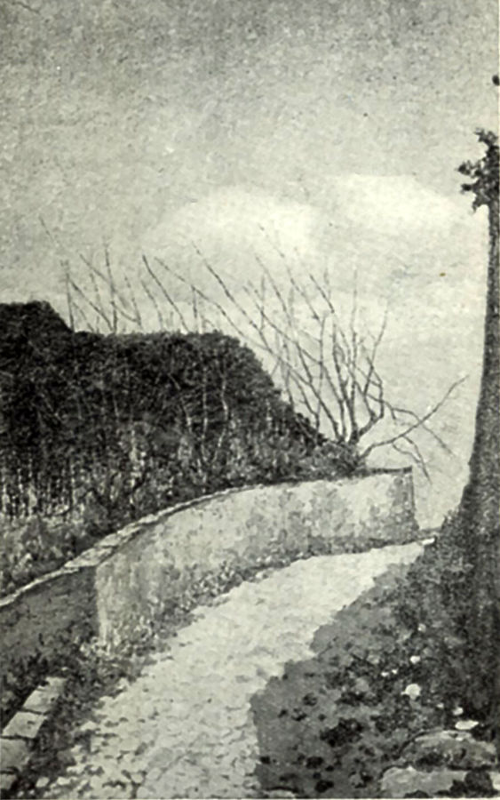 avanzi-di-strada-romana-susa