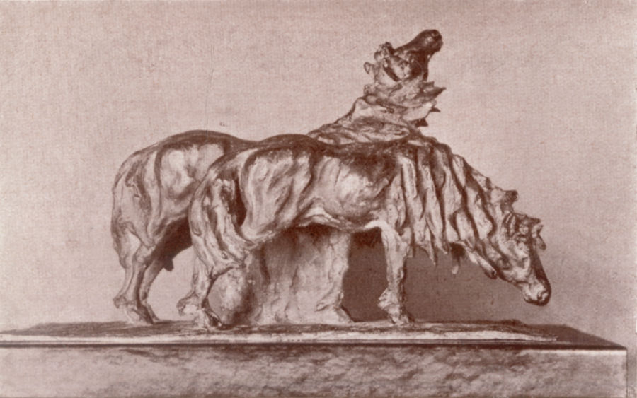 cavalli-della-steppa