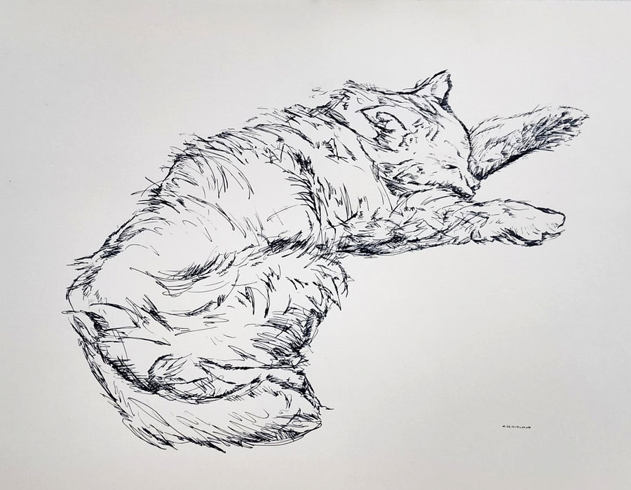 schialvino-oliver-il-mio-gatto