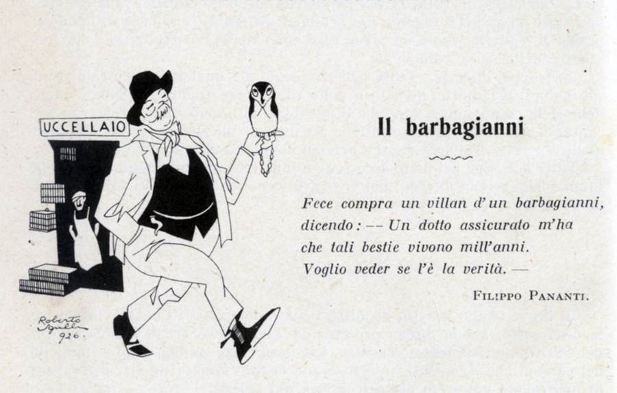 il-barbagianni