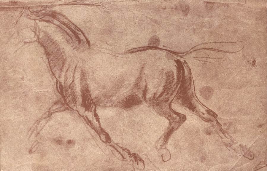 disegno-cavallo