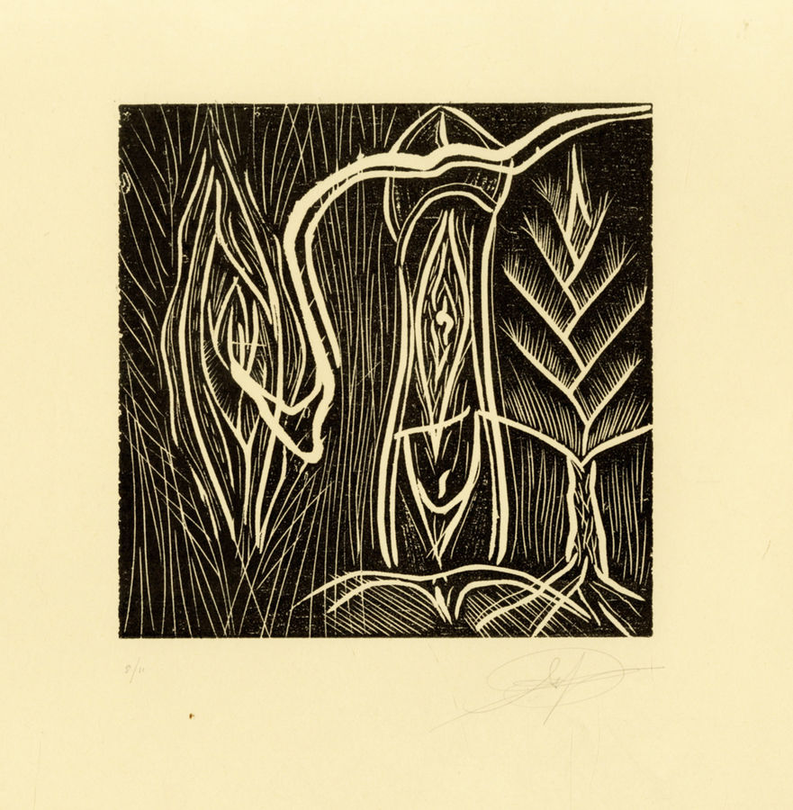 senza-titolo-5