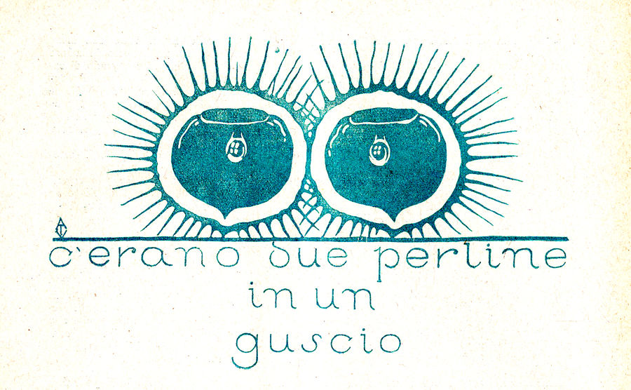 cerano-due-perline-in-un-guscio-di-bianca-gerin-1-1