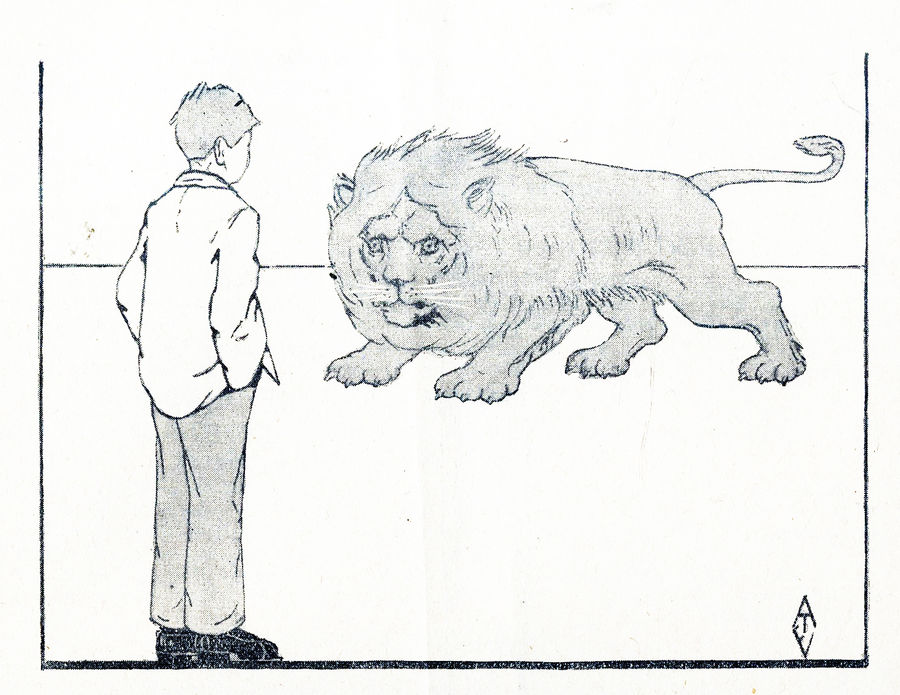 la-terra-di-adele-carosio-4