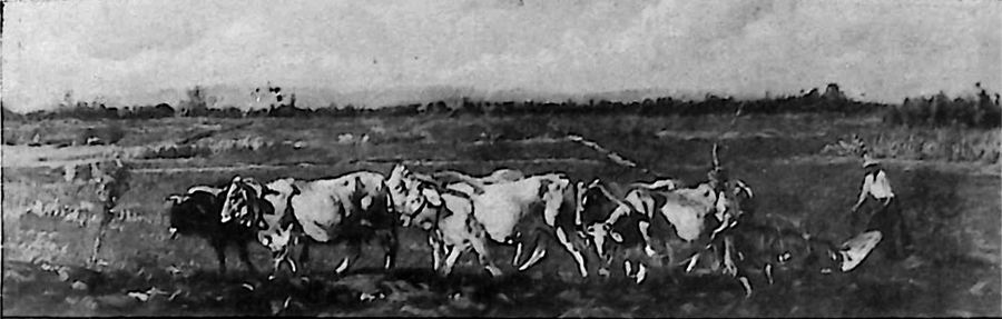 pianura-veneta-xvii-biennale-di-venezia