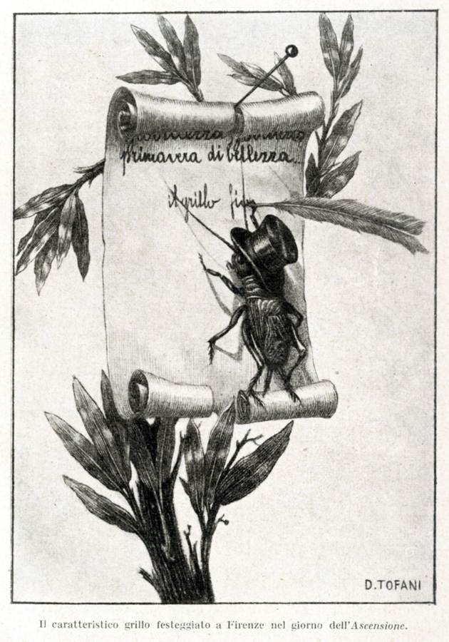 il-caratteristico-grillo-festeggiato-a-firenze-nel-giorno-dellascensione