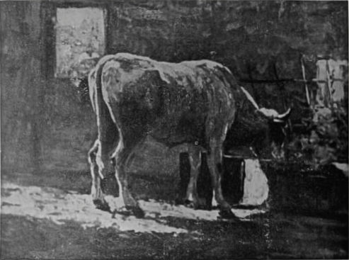 nella-stalla