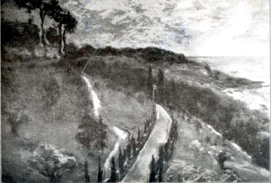 castelgandolfo-veduta-verso-albano-col-bosco-degli-ulivi