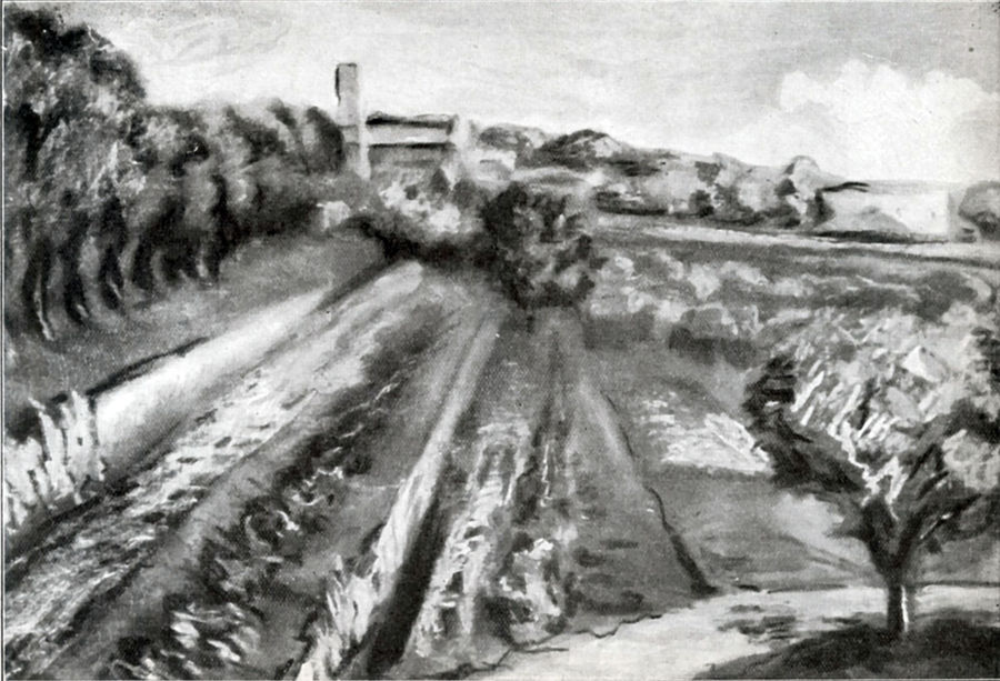 castelgandolfo-le-terrazze-sotto-il-parco-degli-olivi