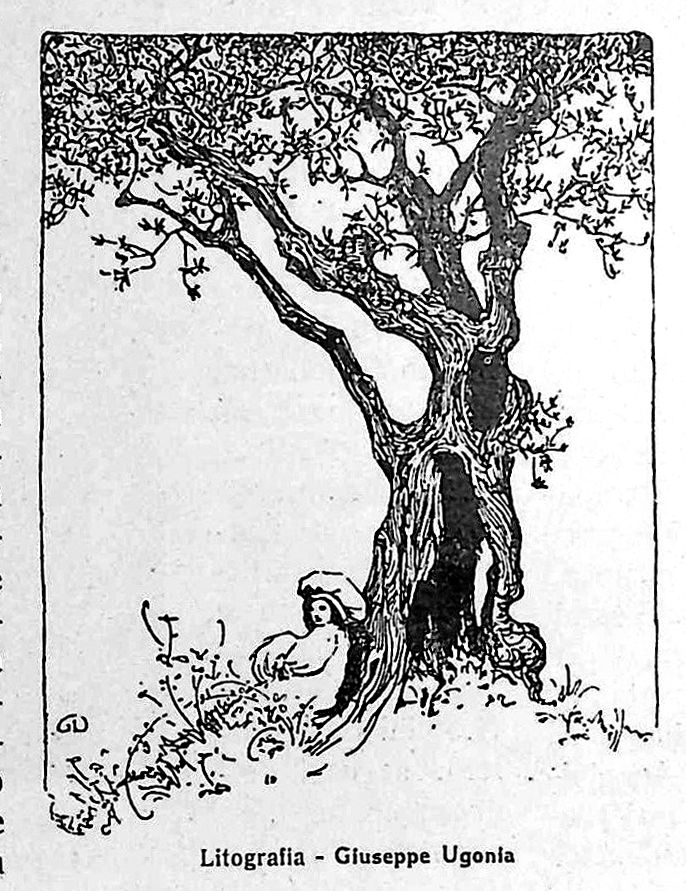 sotto-lalbero