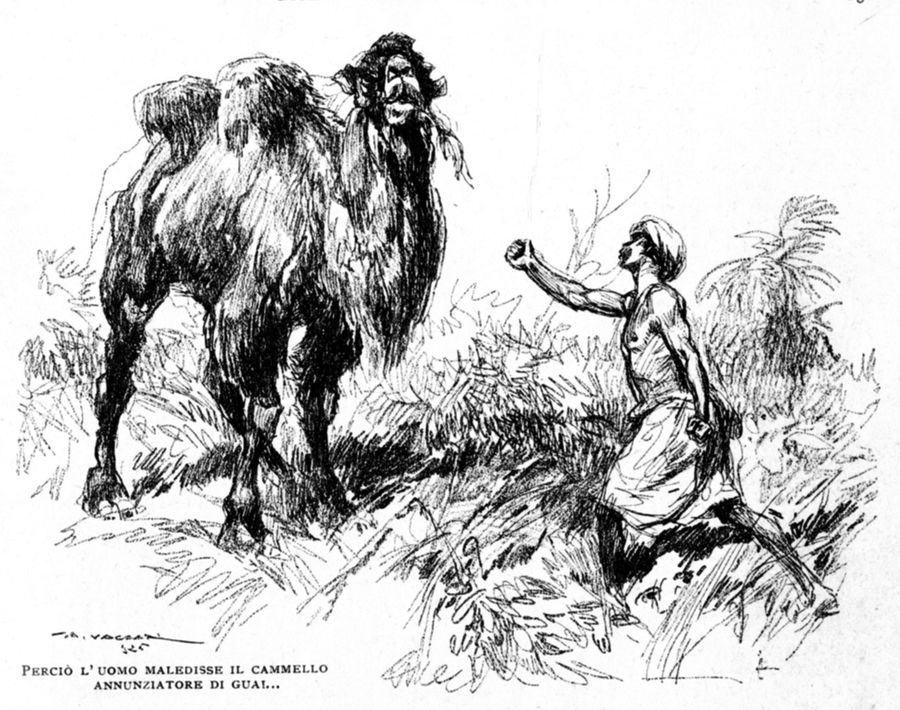 percio-luomo-maledisce-il-cammello