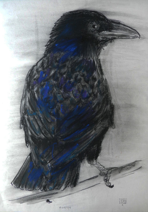 verna-corvo-2