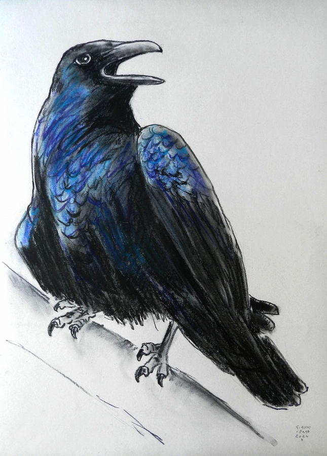 verna-corvo-3