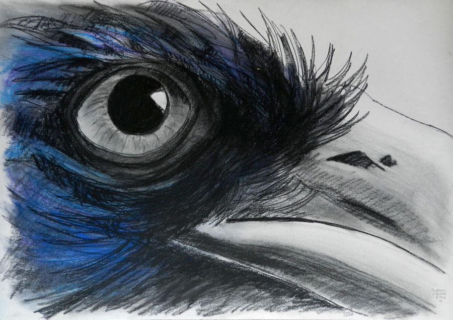 verna-corvo-4