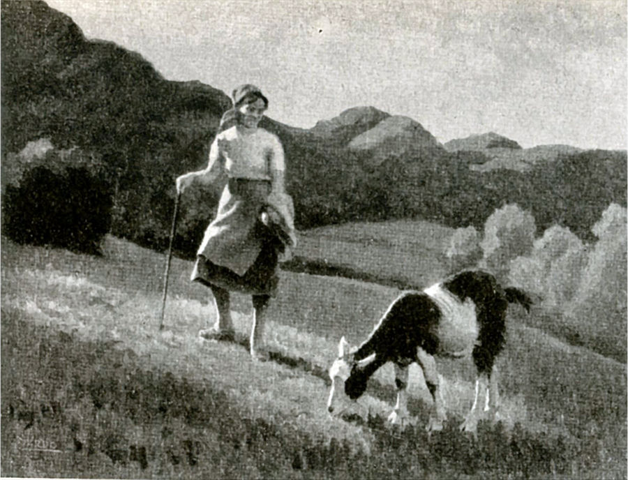 pascolo-sullappennino-tosco-emiliano