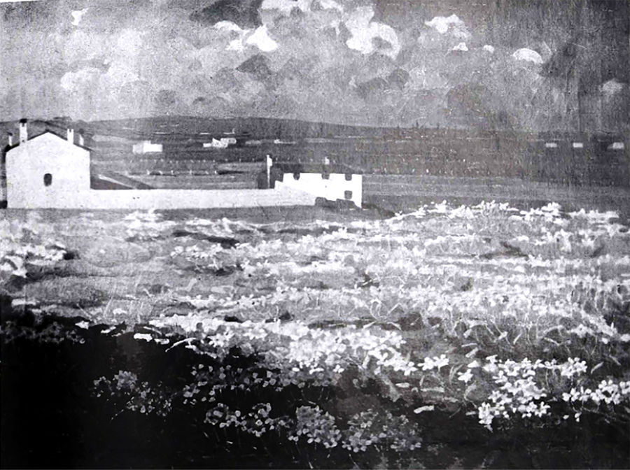 campo-fiorito-in-giallo