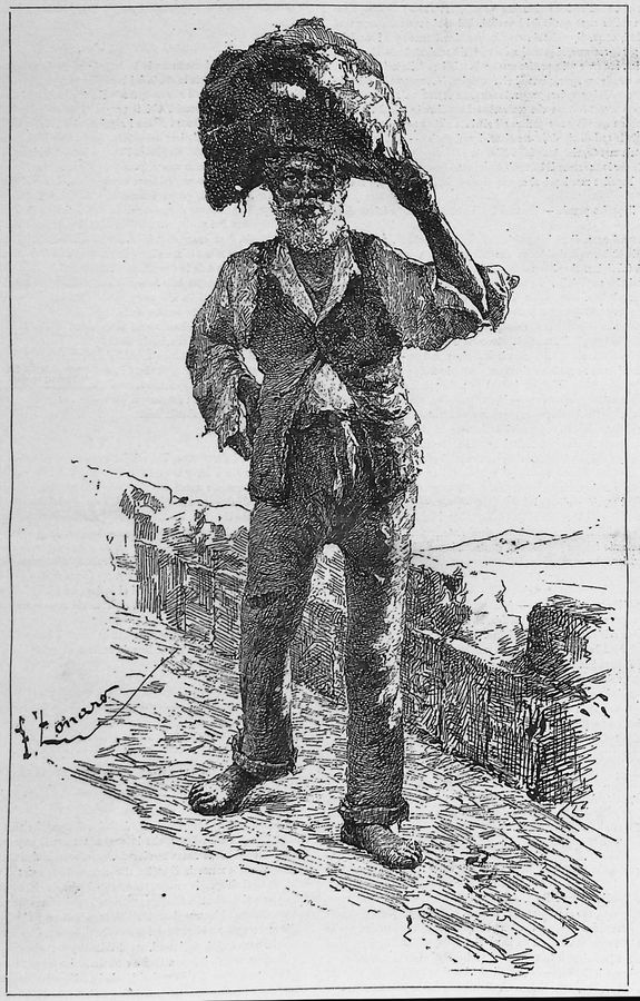 il-saponaro