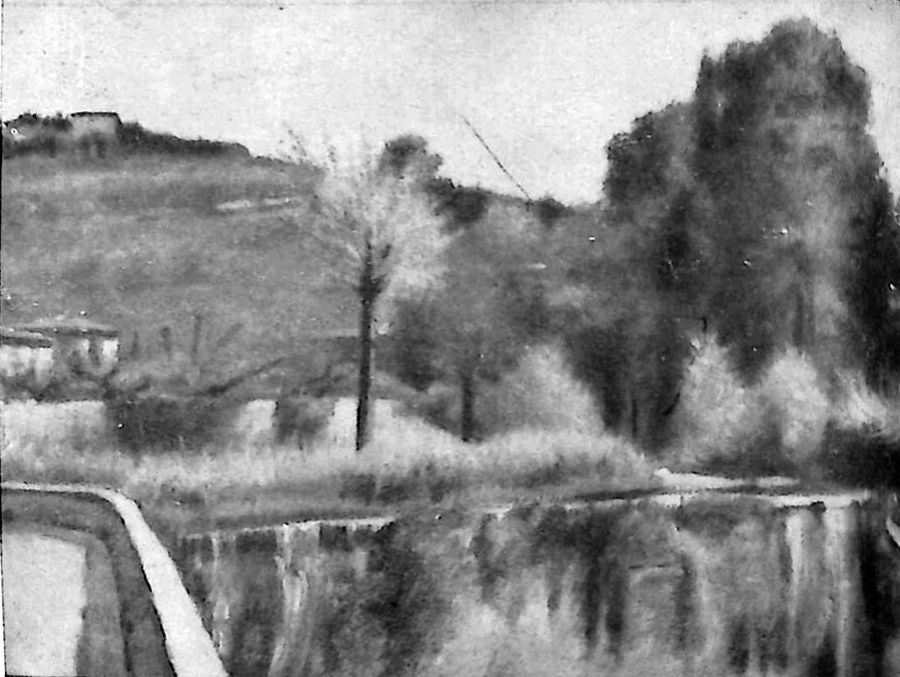 campagna-nei-dintorni-di-firenze