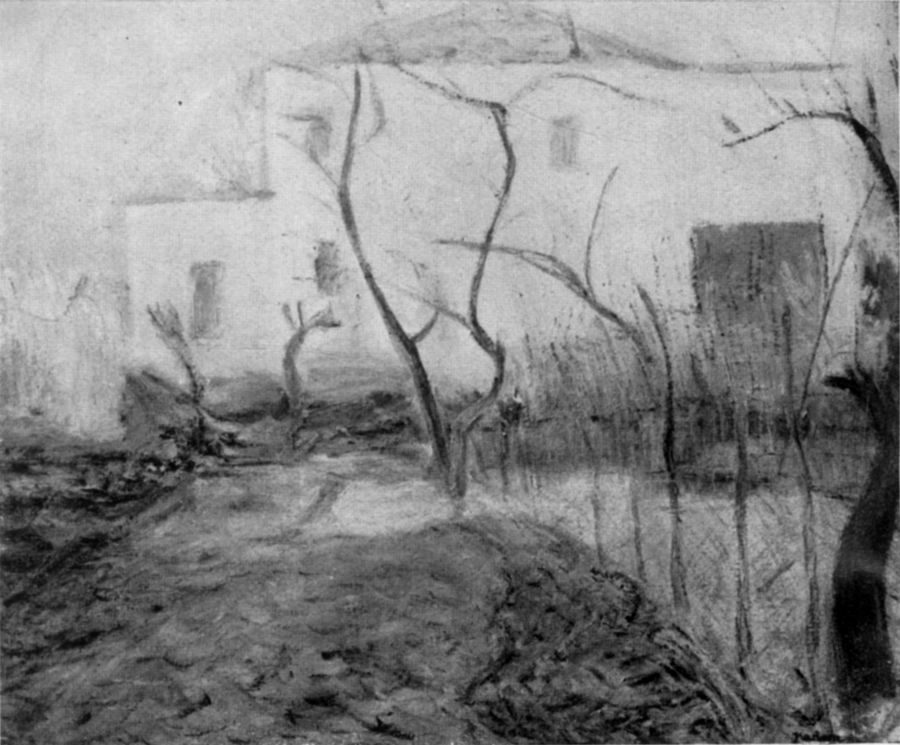 paesaggio-nel-casalasco